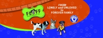 FLUFF Animal Rescue Inc