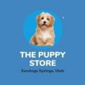 The Puppy Store - Saratoga Springs