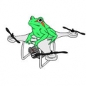 Aerial Frog