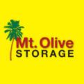 Mt. Olive Storage, LLC