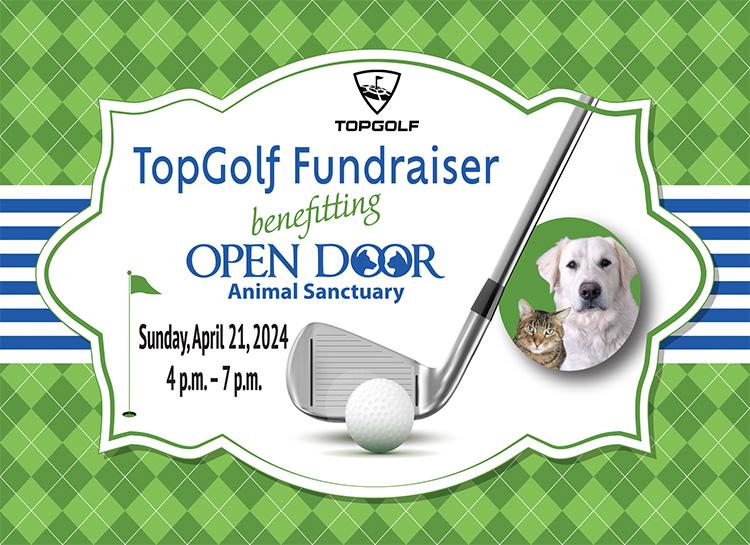 ou do not need to be a golfer to enjoy TopGolf in Chesterfield!  Join us for 3 hours of unlimited play and dinner in the Chairman’s Suite on Sunday, April 21st at 4 p.m.  $85 per person or $500 for a bay with 6 players. To register go to: odas.org/topgolf.  To register: odas.org/topgolf or email Lynese at Lynese@odas.org.Sponsored by Welsch Heating and Cooling.
