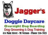 Jagger's Doggie Daycare, Dog Grooming, Training & Boarding