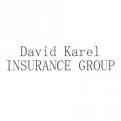 David Karel Insurance Group