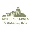 Brigit S Barnes & Assoc., Inc