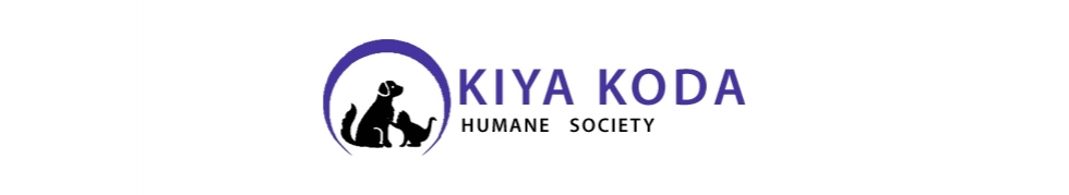 kiya koda animal shelter