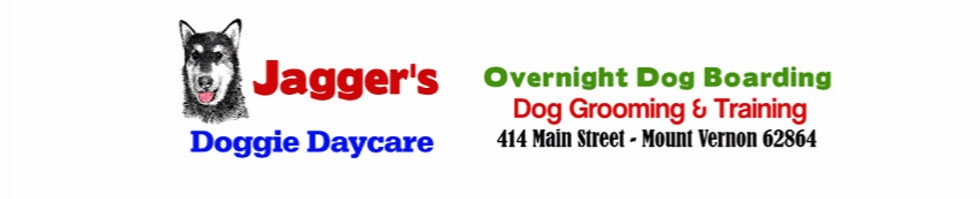 jaggers doggie daycare