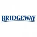Bridgeway Inc.