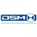 DSM-H LLC