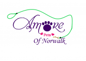 Amore Pets of Norwalk