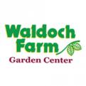 Waldoch Farm Garden Center - Mary - Retail