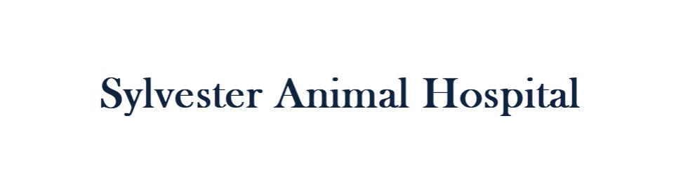 Great Sylvester Animal Hospital in the world Don t miss out 