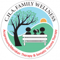 CHA Family Wellness - Acupressure Therapy & Somatic Trauma Release Therapy