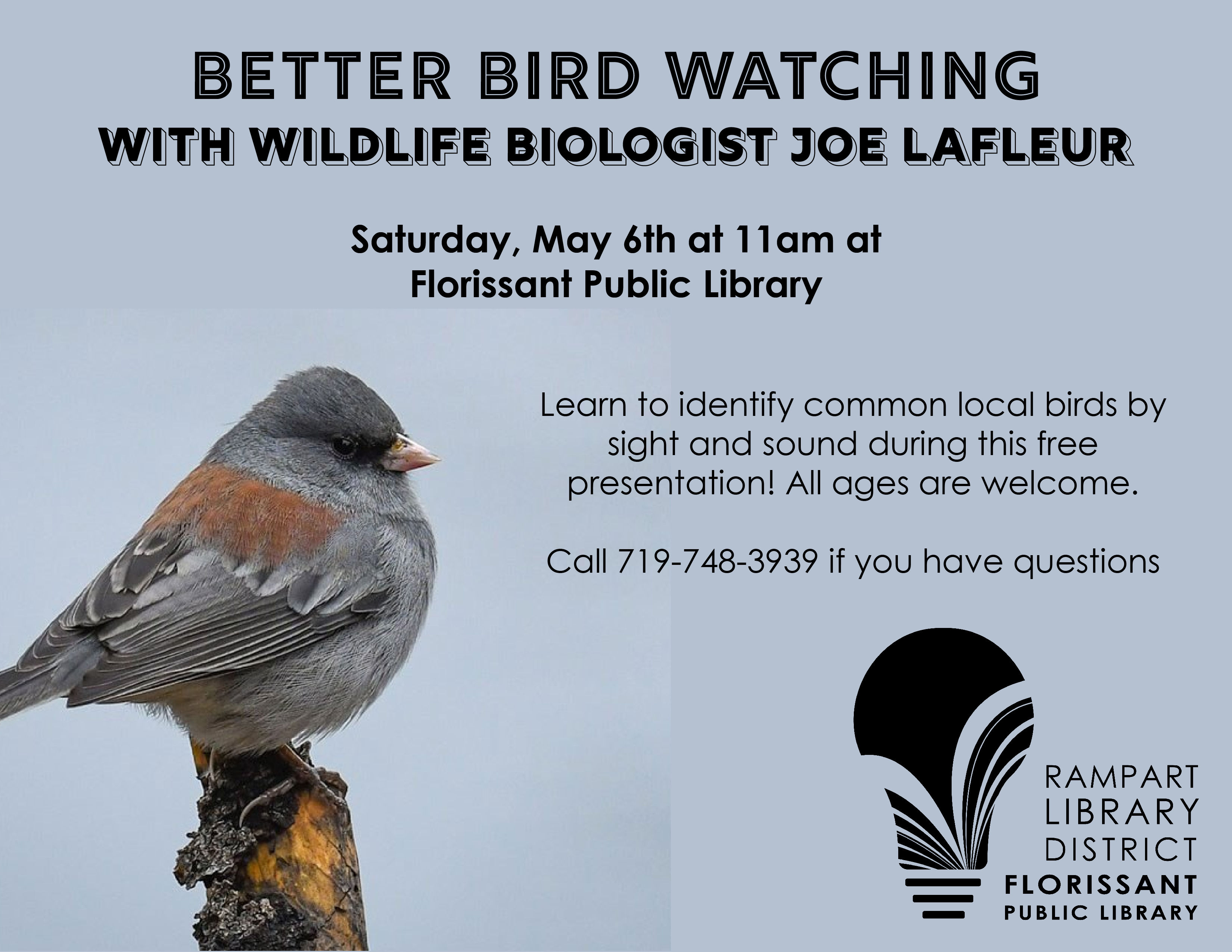 Join a Bird Walk and Learn About Birds and Bird Identification
